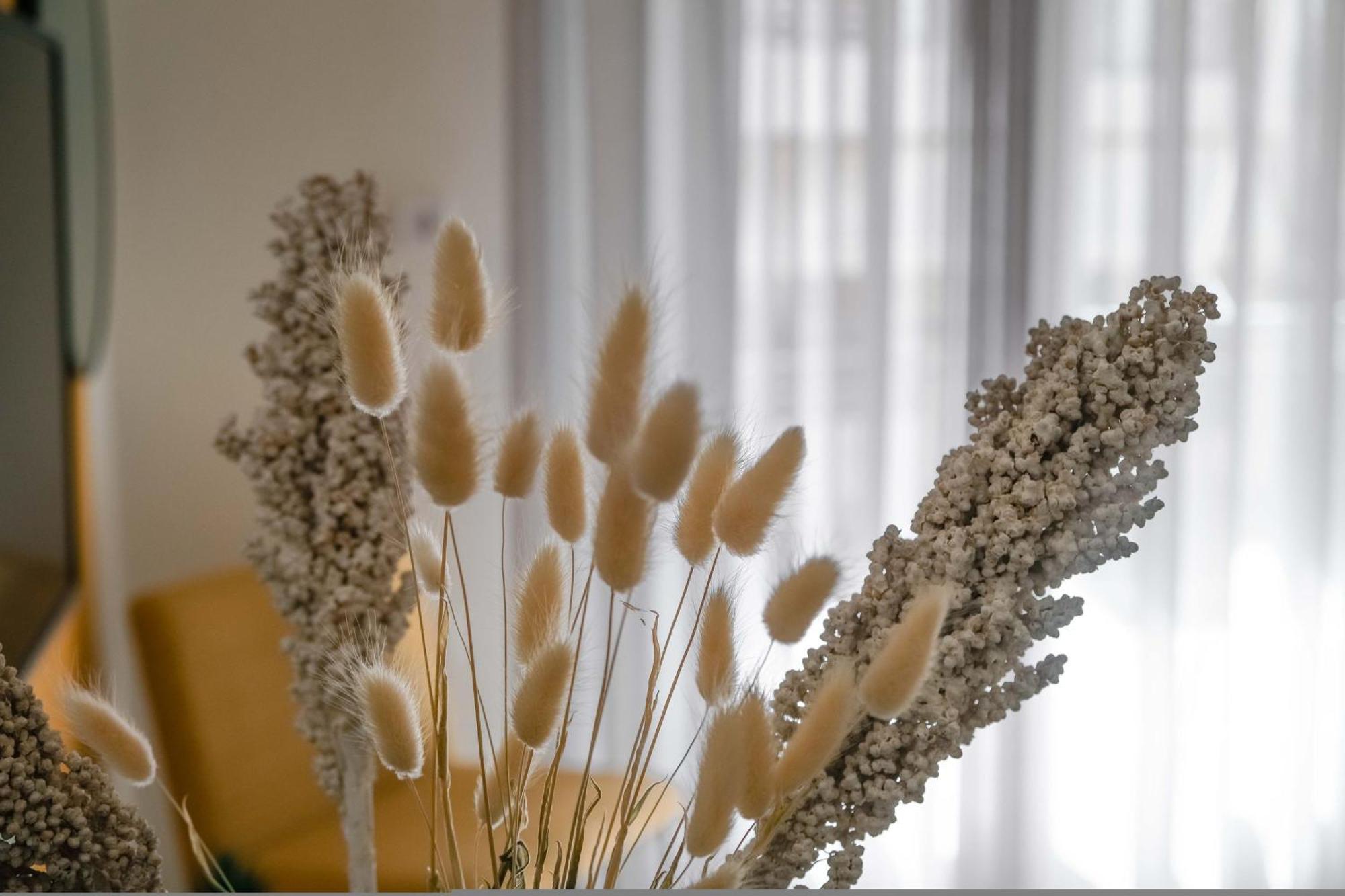 Orsiida Family Apartment Volos Eksteriør bilde